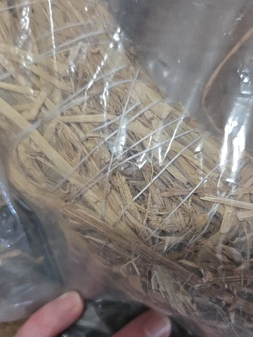 Unopened Straw Wreath 12